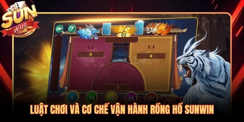Cấu trúc xác suất rồng hổ Sunwin và House Edge từng loại