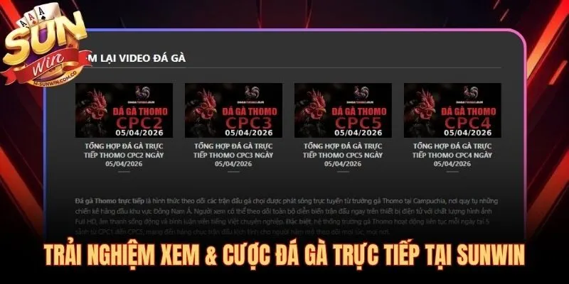Sới gà trực tuyến phát sóng liên tục với odds minh bạch theo thời gian thực